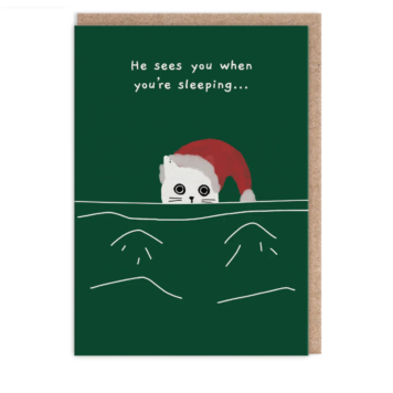 He Sees You When You're Sleeping Cat Christmas Card